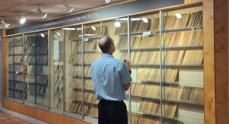 Display of timber samples with man